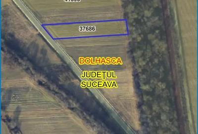 Teren de 2800 mp, în Probota