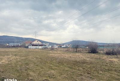 Teren de 3000 mp, în Aninoasa - 6