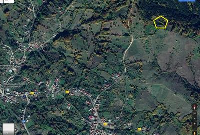 Teren Construcții extravilan de 14600 mp, în Albeștii de Muscel - 10