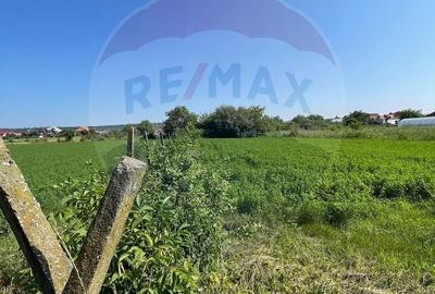 Teren de 1270 mp, în Central
