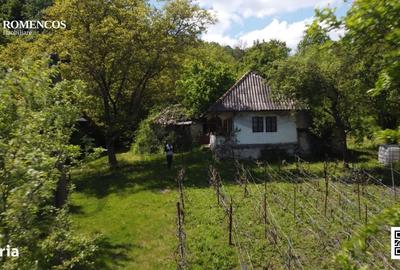 Casă cu 2 camere în Oprești - 16