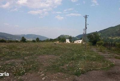 Teren de 85000 mp, în Alexandru cel Bun - 4