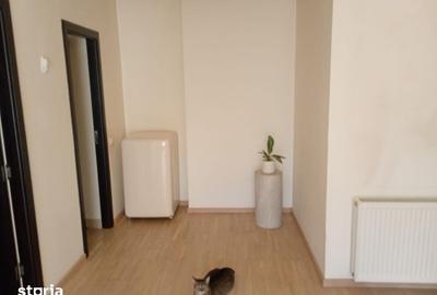Apartament cu 2 camere în Băneasa