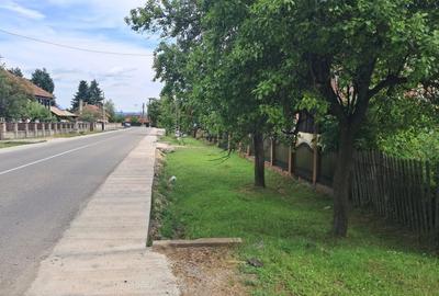 Teren Construcții intravilan de 3677 mp, în Polovragi - 4
