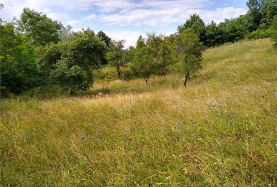 Teren de 4700 mp, în Romos - 7
