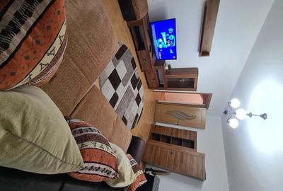 Apartament cu 3 camere decomandat în Tineretului - 5