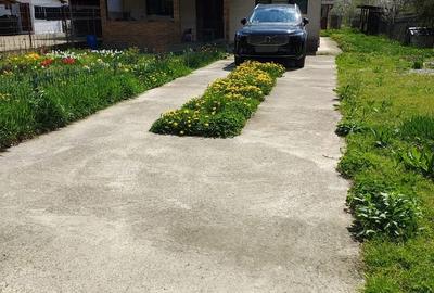 Casă cu 3 camere cu Teren 2370 Mp în Mihăești - 1