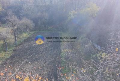 Casă individuală cu 3 camere cu Teren 5062 Mp în Târgu Neamț - 6