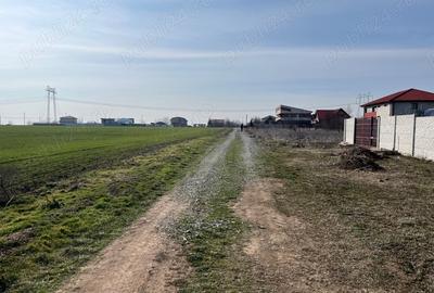 Teren de 6229 mp, în Frumușani - 5