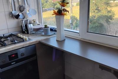 Apartament cu 3 camere decomandat în Topolog