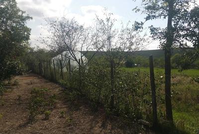 Casă cu 3 camere cu Teren 8000 Mp în Stuhuleț - 1