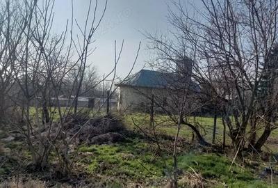 Teren de 10000 mp, în Dârvari - 5