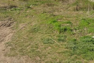 Teren de 500 mp, în Frumușani - 2