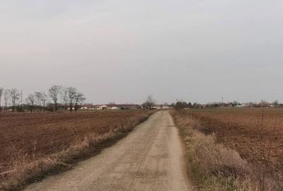 Teren agricol extravilan de 8400 mp, în Tămășeu - 1