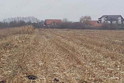Teren de 2932 mp, în Stupini - 3