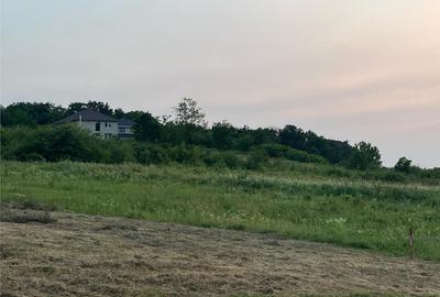 Teren de 903 mp, în Paleu - 11