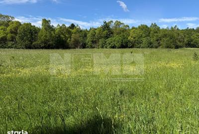 Teren de 2300 mp, în Horodnic - 11