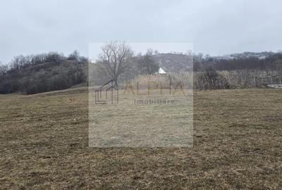 Teren de 45 mp, în Ghinda - 1