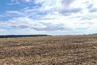 Teren de 2500 mp, în Brănești