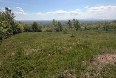 Teren în Buzești - 1