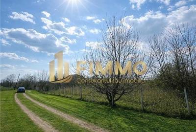 Teren de 5811 mp, în Bosanci - 1