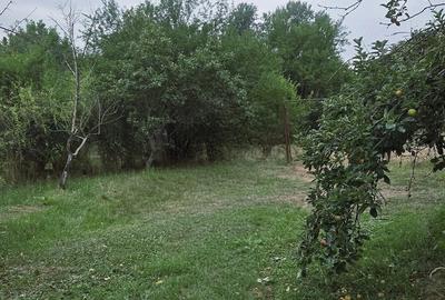 Casă cu 6 camere cu Teren 2900 Mp în Olteni - 6