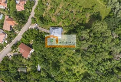 Casă cu Teren 3300 Mp în Cornu - 3