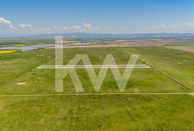 Teren agricol extravilan de 4700 mp, în Codlea - 2