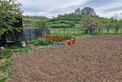 Casă cu 3 camere cu Teren 1338 Mp în Meteș - 1