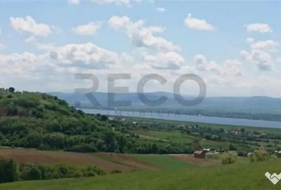Teren de 8743 mp, în Tileagd - 6