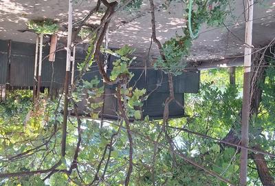Casă cu 6 camere cu Teren 914 Mp în Poiana Mare - 11