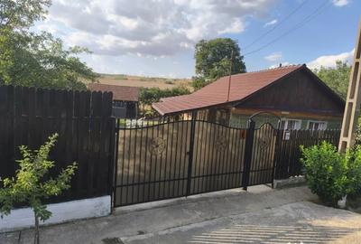 Casă cu 3 camere în Uileacu de Munte