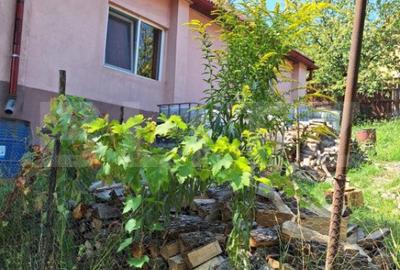 Casă cu 4 camere cu Teren 1000 Mp în Viișoara - 5
