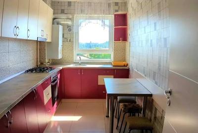 Apartament cu 2 camere decomandat, mobilat în Avantgarden - 4
