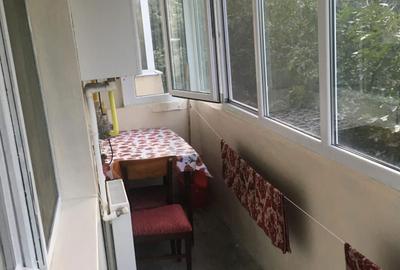Apartament cu 2 camere semidecomandat în Sârbi - 5