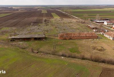 Spațiu comercial, de 3,000 mp, în Mișca - 20