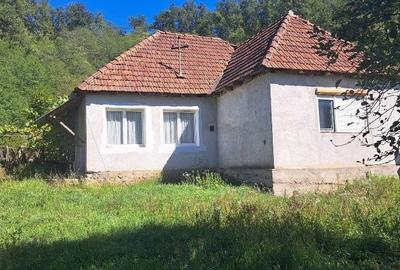 Casă individuală cu 3 camere cu Teren 5400 Mp în Petriș - 4