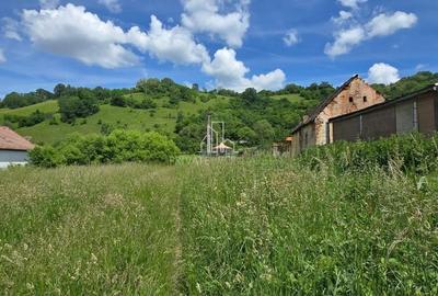 Teren de 3400 mp, în Biertan - 1