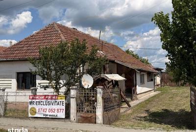 Casă cu Teren 2470 Mp în Livada
