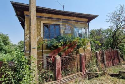 Casă cu 4 camere în Bâzdâna