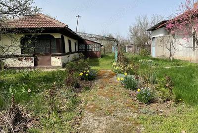 Teren de 1644 mp, în Frumușani - 2