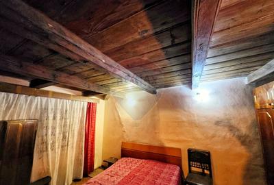 Casă individuală cu 4 camere cu Teren 10486 Mp în Ierșnic - 17