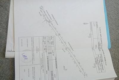 Teren de 5469 mp, în Dănești