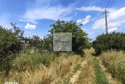 Teren de 11000 mp, în Clejani - 11