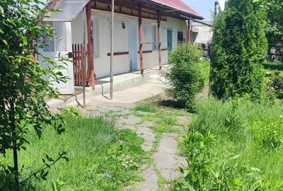 Casă individuală cu 2 camere cu Teren 2000 Mp în Davideni - 1