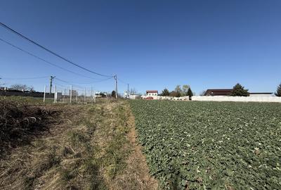 Teren Construcții intravilan de 4563 mp, în Potigrafu - 10