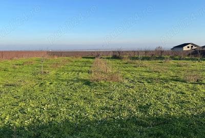 Teren de 2042 mp, în Tulucești - 1