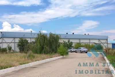 Spațiu industrial, de 1,000 mp, în Popești-Leordeni