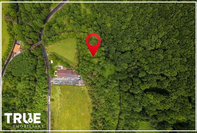 Teren Construcții intravilan de 2800 mp, în Câmpu Cetății - 8
