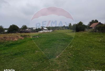 Teren de 5000 mp, în Adâncata - 1